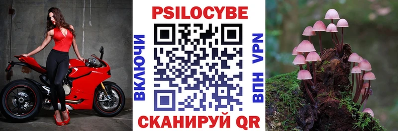 Псилоцибиновые грибы Magic Shrooms  даркнет сайт  Дигора 